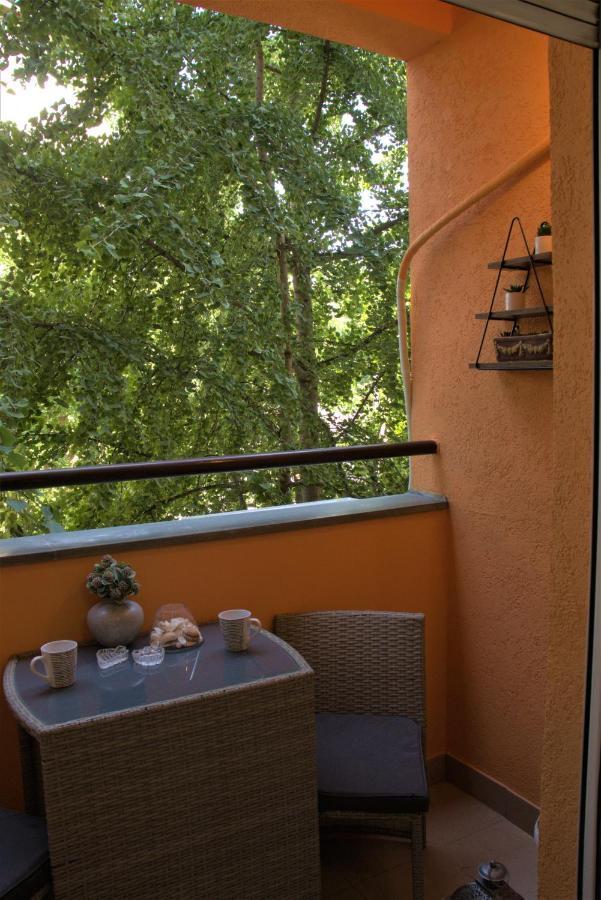Novi Sad Apartman Tenigo Exteriér fotografie