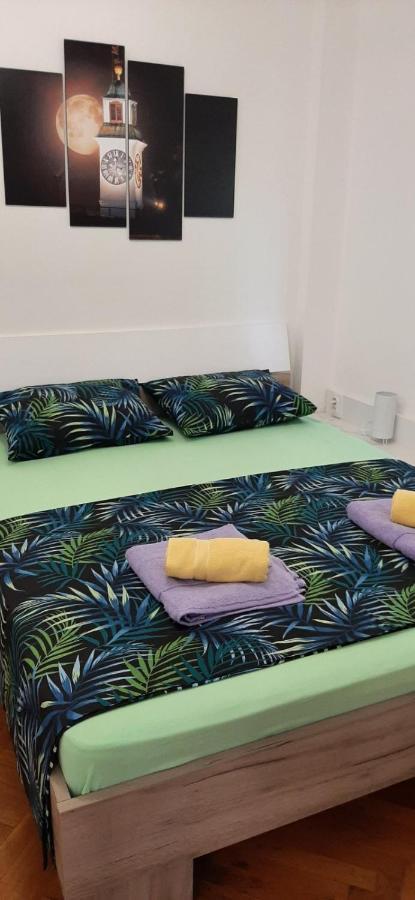 Novi Sad Apartman Tenigo Exteriér fotografie